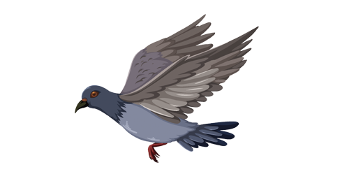 bioinsecte bioinsecte